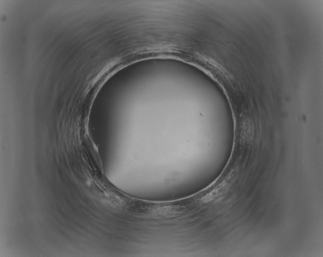 X0000074931162200609081318