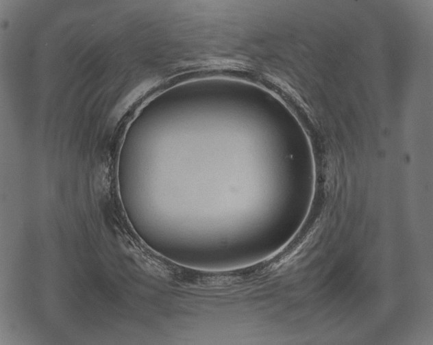 X0000074931163200609081318