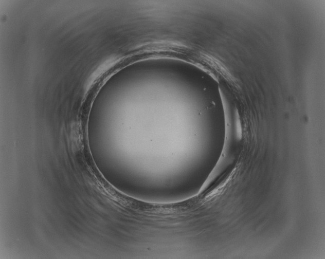 X0000074931164200609081318