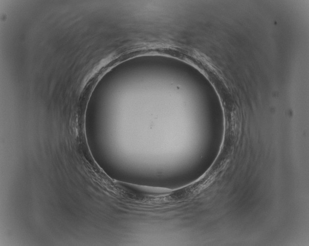 X0000074931165200609081318