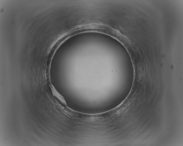 X0000074931166200609081318