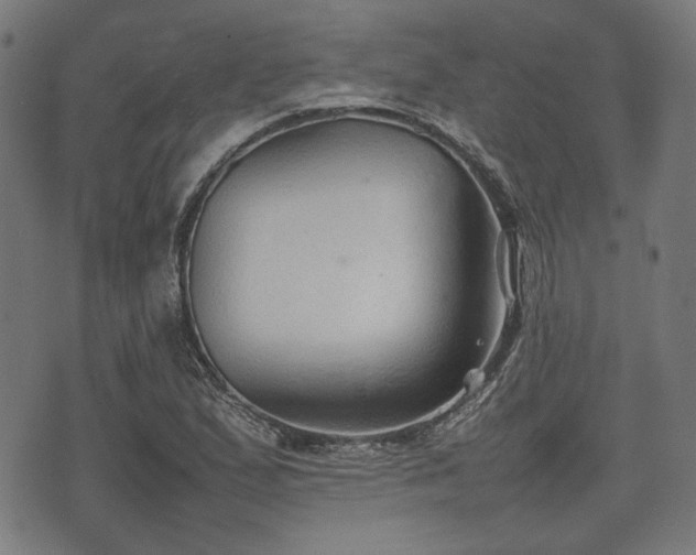 X0000074931167200609081318