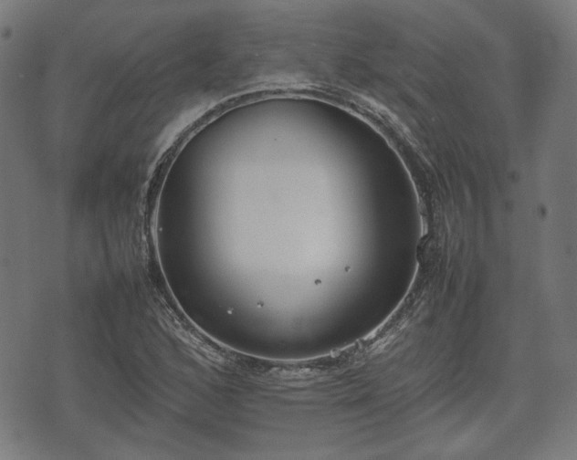 X0000074931168200609081318