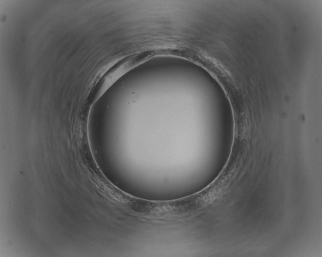 X0000074931169200609081318