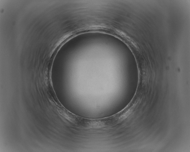 X0000074931170200609081318