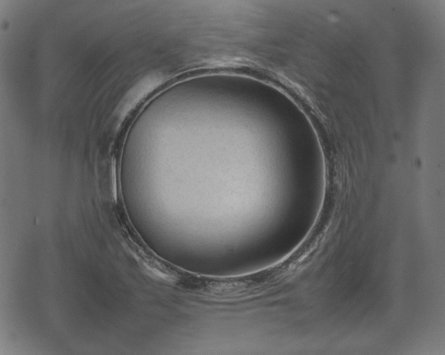 X0000074931171200609081318