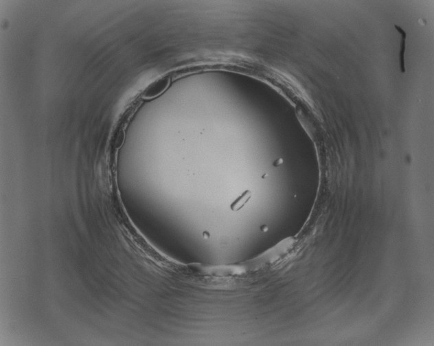 X0000074931172200609081318