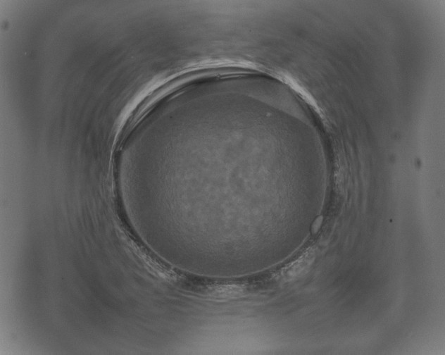 X0000074931173200609081318