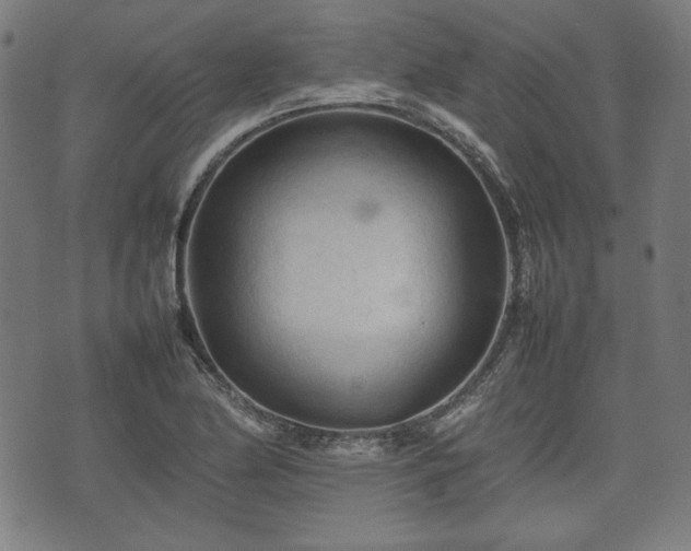 X0000074931174200609081318