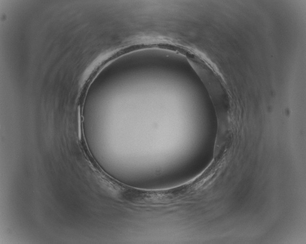 X0000074931175200609081318