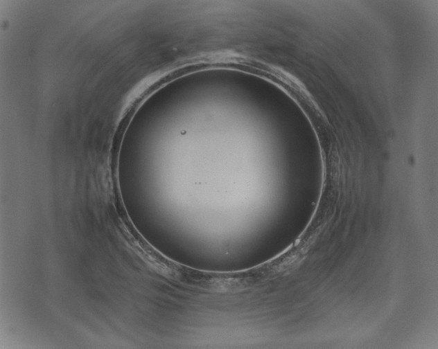 X0000074931176200609081318