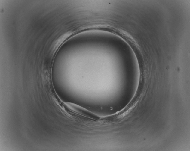 X0000074931177200609081318