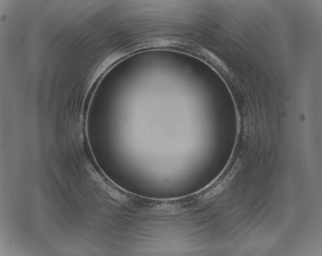 X0000074931178200609081318