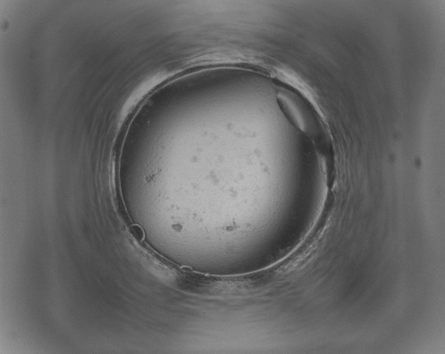 X0000074931179200609081318