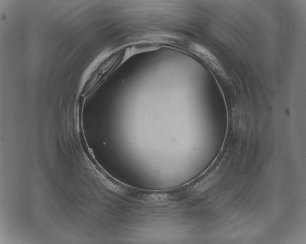 X0000074931180200609081318