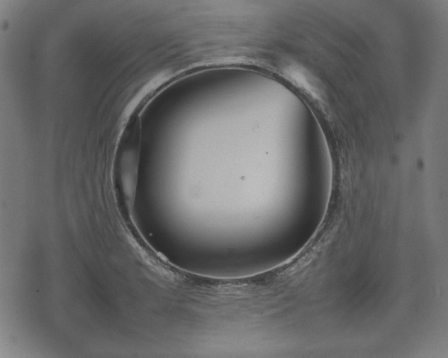 X0000074931181200609081318