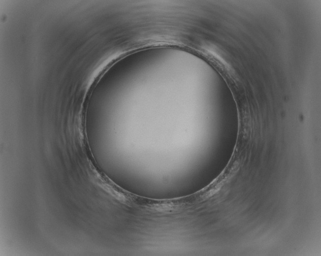 X0000074931182200609081318