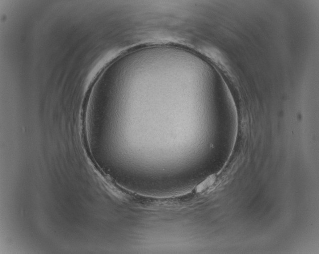 X0000074931183200609081318