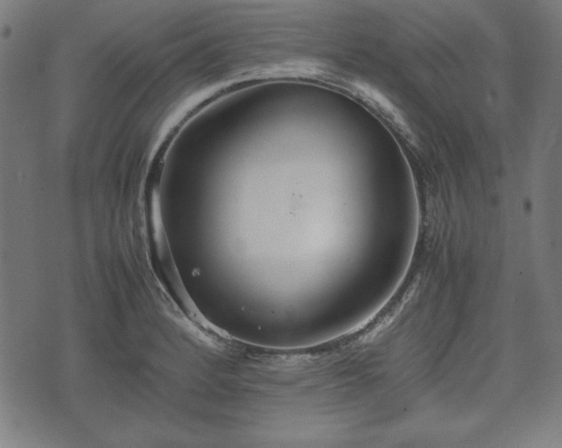 X0000074931184200609081318