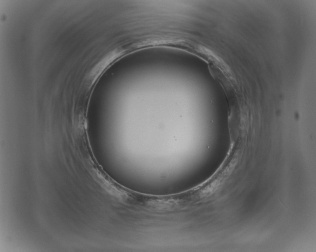 X0000074931185200609081318