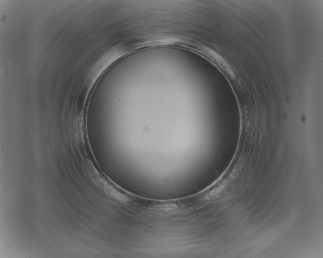 X0000074931186200609081318