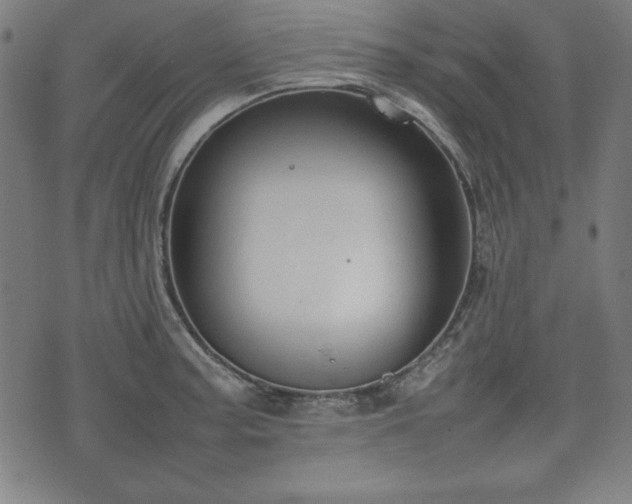 X0000074931187200609081318