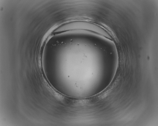 X0000074931188200609081318