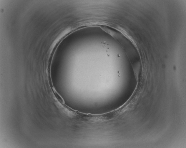 X0000074931189200609081318