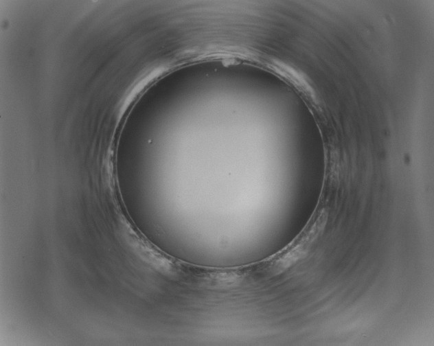 X0000074931190200609081318