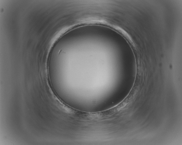 X0000074931191200609081318