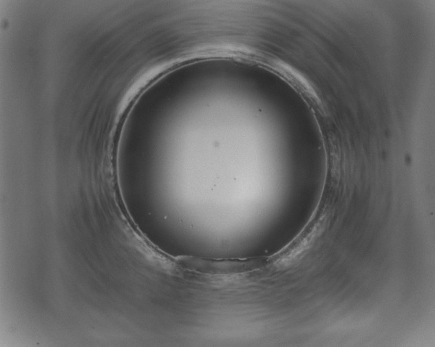 X0000074931192200609081318