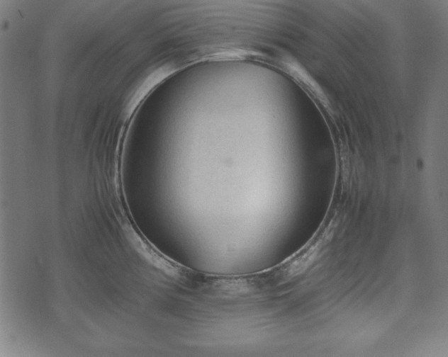 X0000074931194200609081318