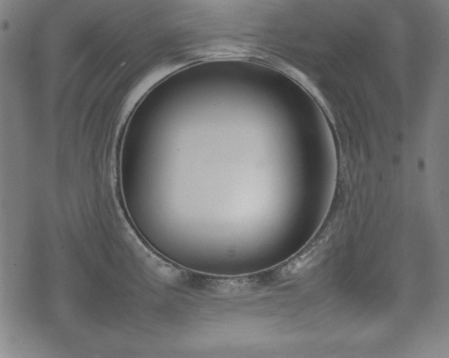 X0000074931195200609081318