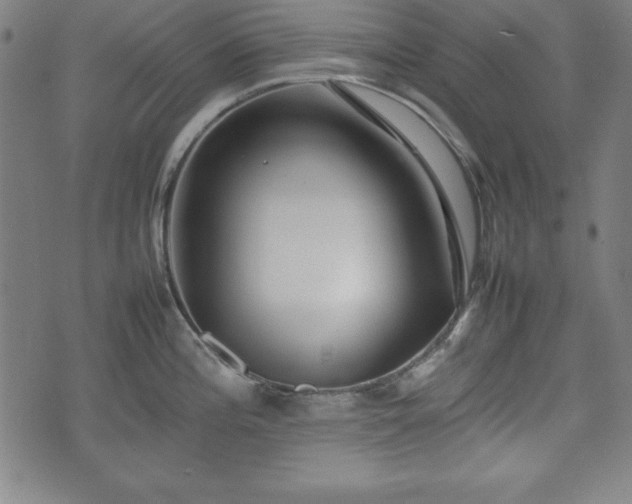 X0000074931196200609081318