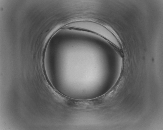 X0000074931197200609081318