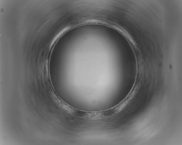 X0000074931198200609081318