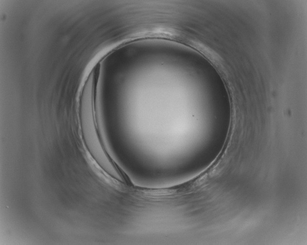 X0000074931200200609081318