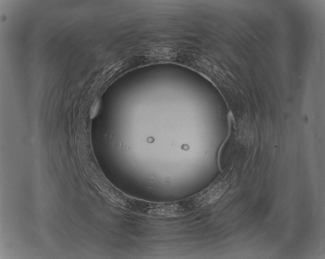 X0000074931201200609081317