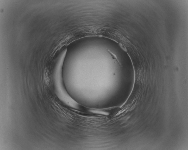 X0000074931202200609081317