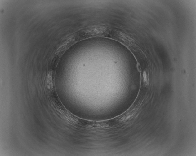 X0000074931203200609081317