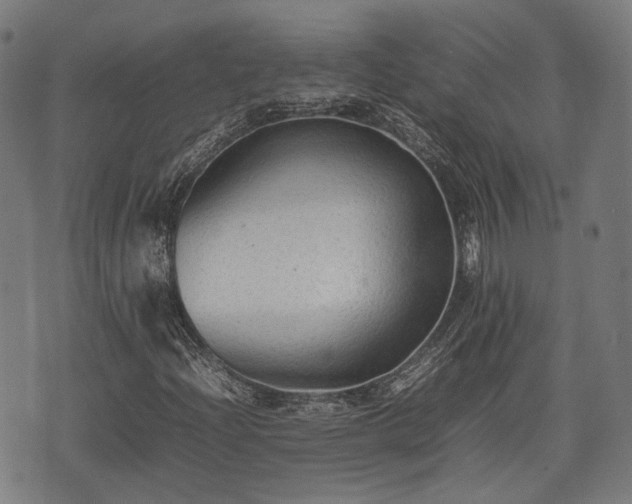 X0000074931204200609081317