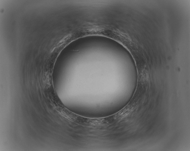 X0000074931205200609081317