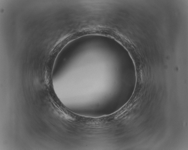 X0000074931206200609081317