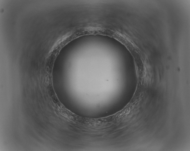 X0000074931207200609081317