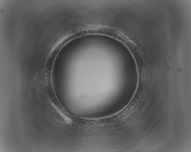 X0000074931208200609081317