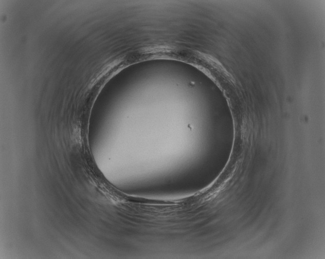 X0000074931209200609081317