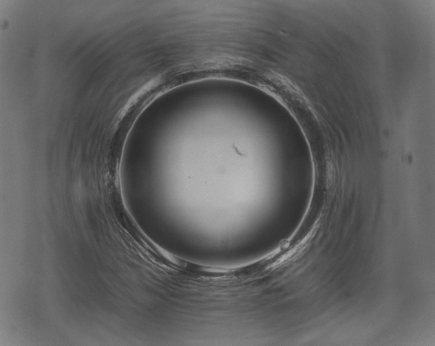 X0000074931210200609081317