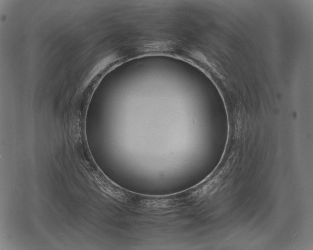 X0000074931211200609081317