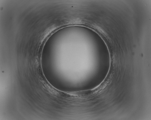 X0000074931212200609081317