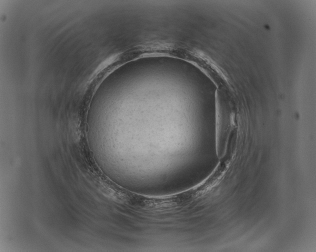 X0000074931213200609081317